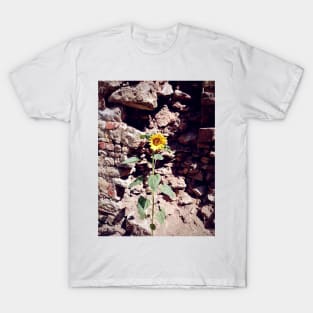 Sunflower in front of castle wall T-Shirt